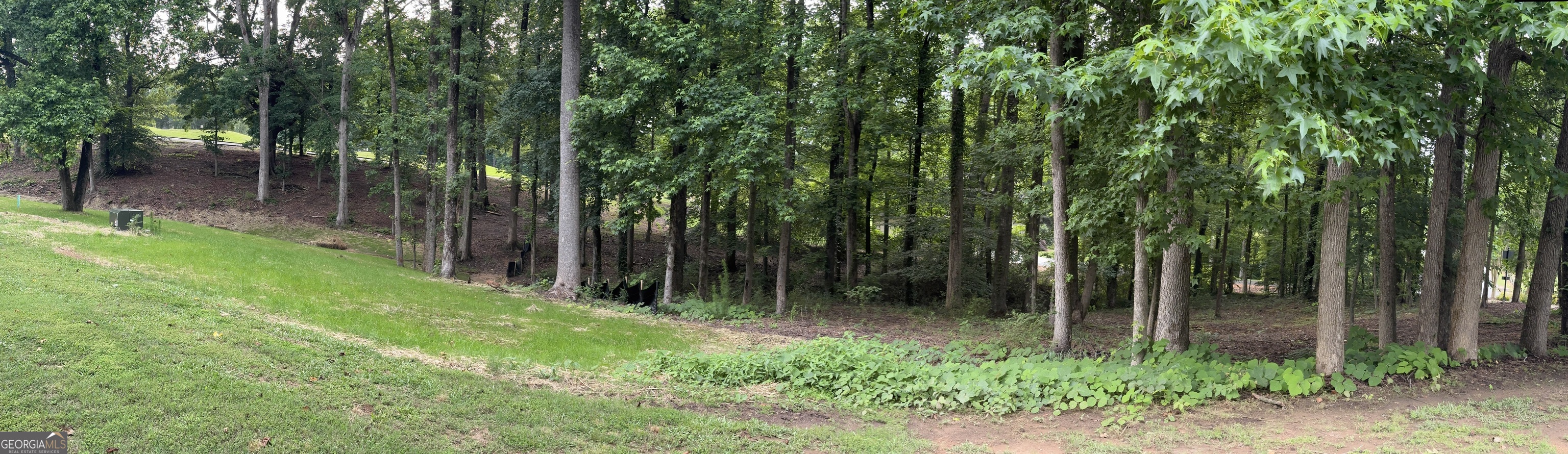 4708 Upper Berkshire Road, Unit LOT 39 Flowery Branch, GA 30542 - Photo 12 of 22 a view of backyard with green space