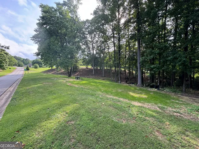 a view of a park with large trees