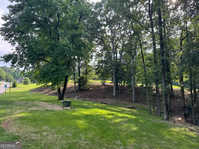 a view of a park with a tree