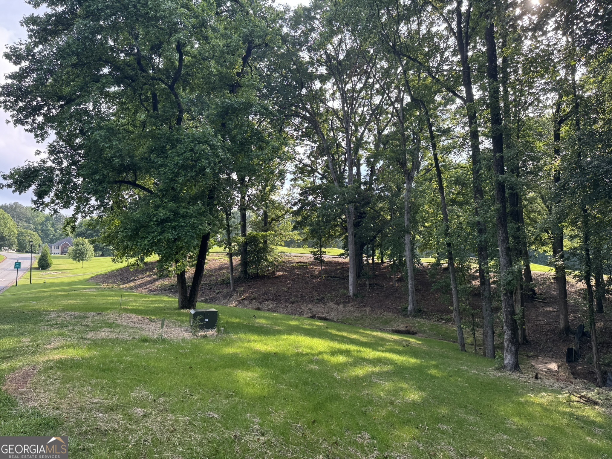 4708 Upper Berkshire Road, Unit LOT 39 Flowery Branch, GA 30542 - Photo 14 of 22 a view of a park with a tree