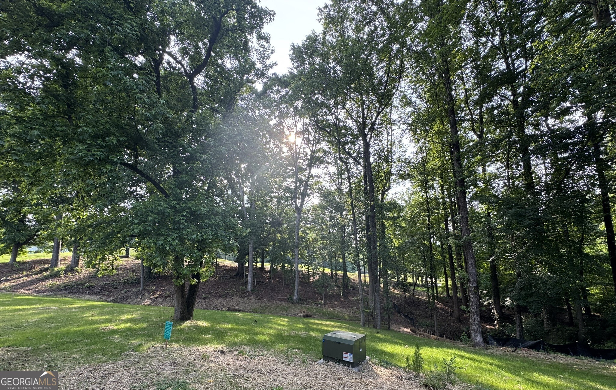 4708 Upper Berkshire Road, Unit LOT 39 Flowery Branch, GA 30542 - Photo 17 of 22 a backyard of a house with lots of green space
