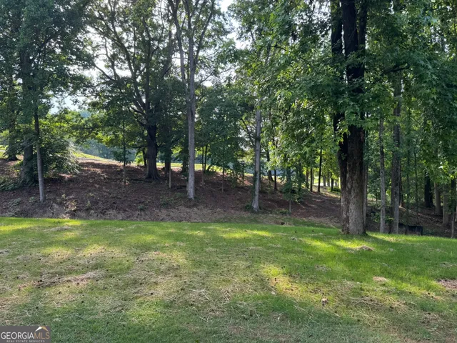 a view of a backyard with a garden