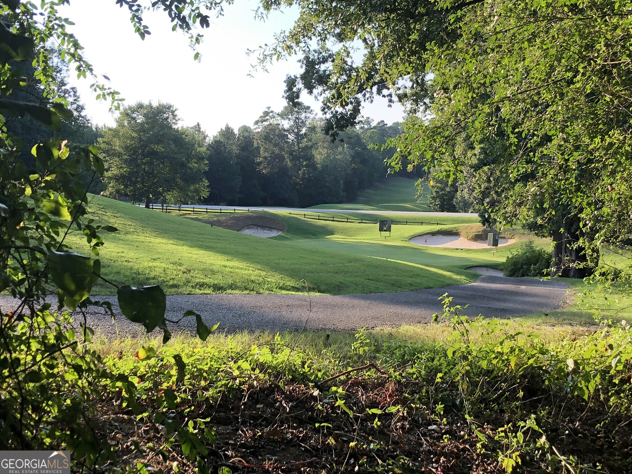 4708 Upper Berkshire Road, Unit LOT 39 Flowery Branch, GA 30542 - Photo 19 of 22 a view of a garden with large trees