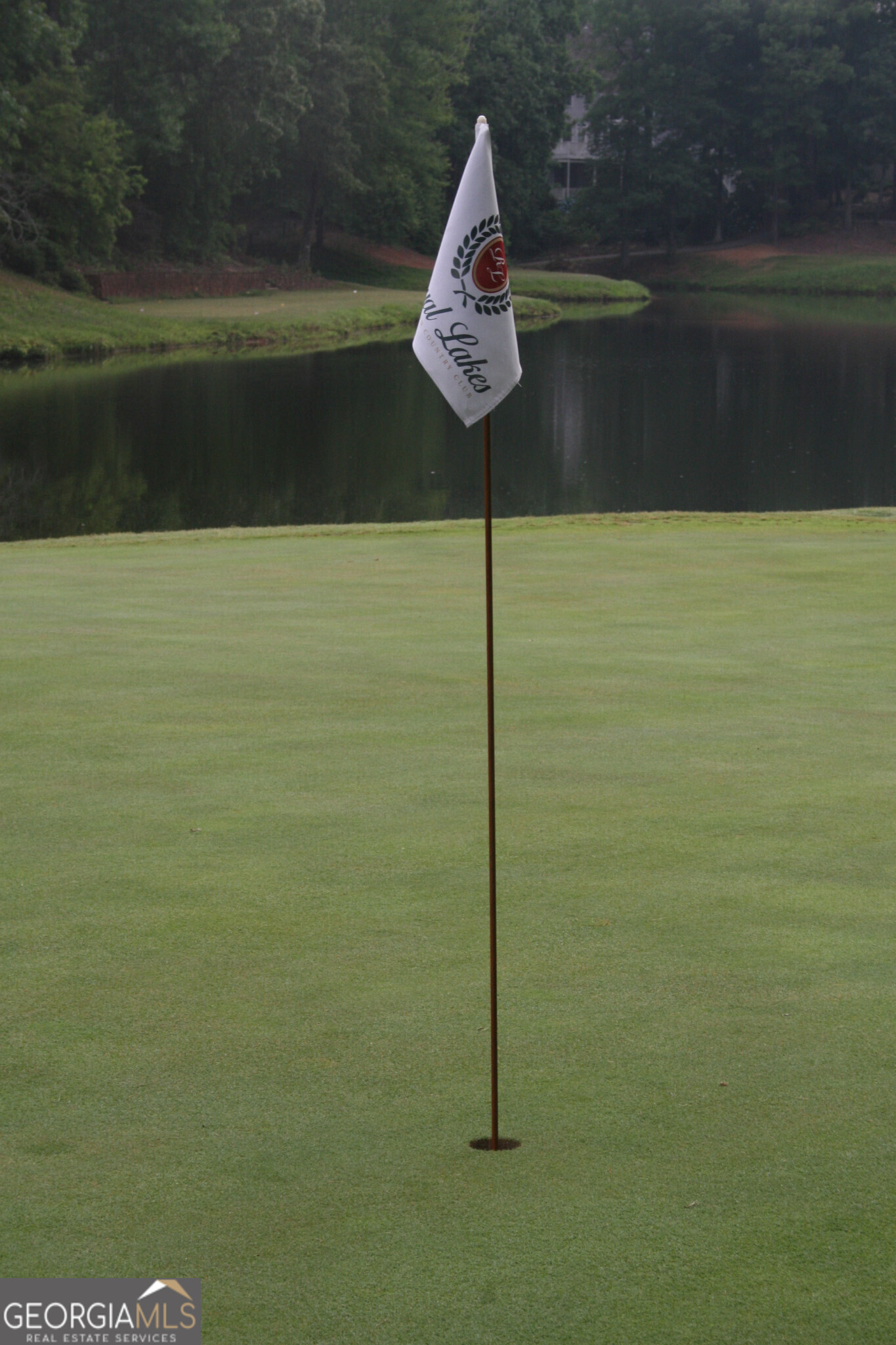 4708 Upper Berkshire Road, Unit LOT 39 Flowery Branch, GA 30542 - Photo 20 of 22