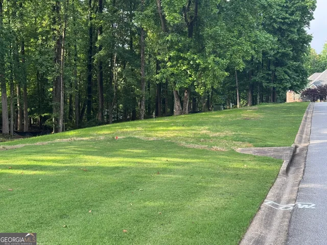 a big yard with lots of green space and trees