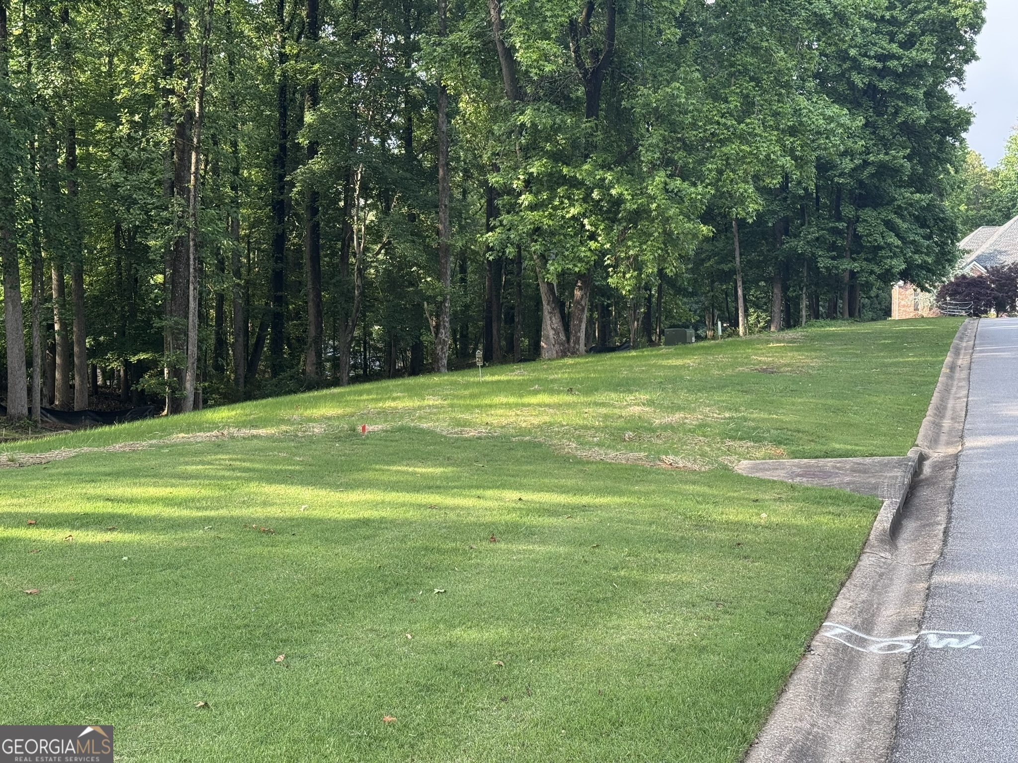 4708 Upper Berkshire Road, Unit LOT 39 Flowery Branch, GA 30542 - Photo 5 of 22 a big yard with lots of green space and trees