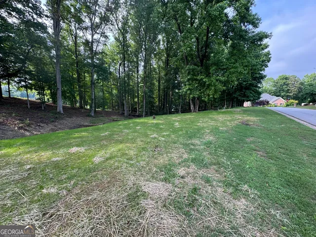 a view of a big yard with trees