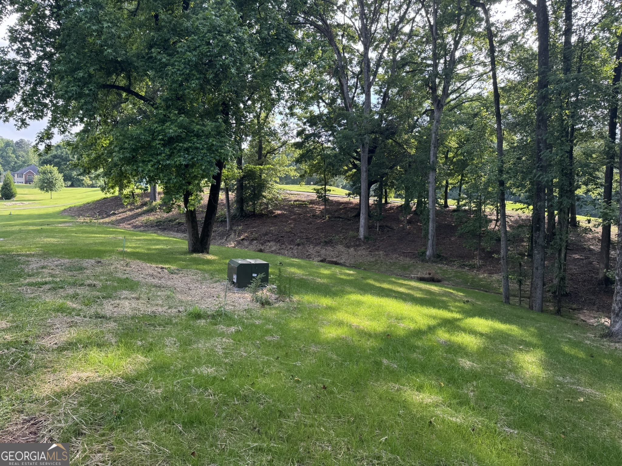 4708 Upper Berkshire Road, Unit LOT 39 Flowery Branch, GA 30542 - Photo 7 of 22 a view of a backyard with tree s