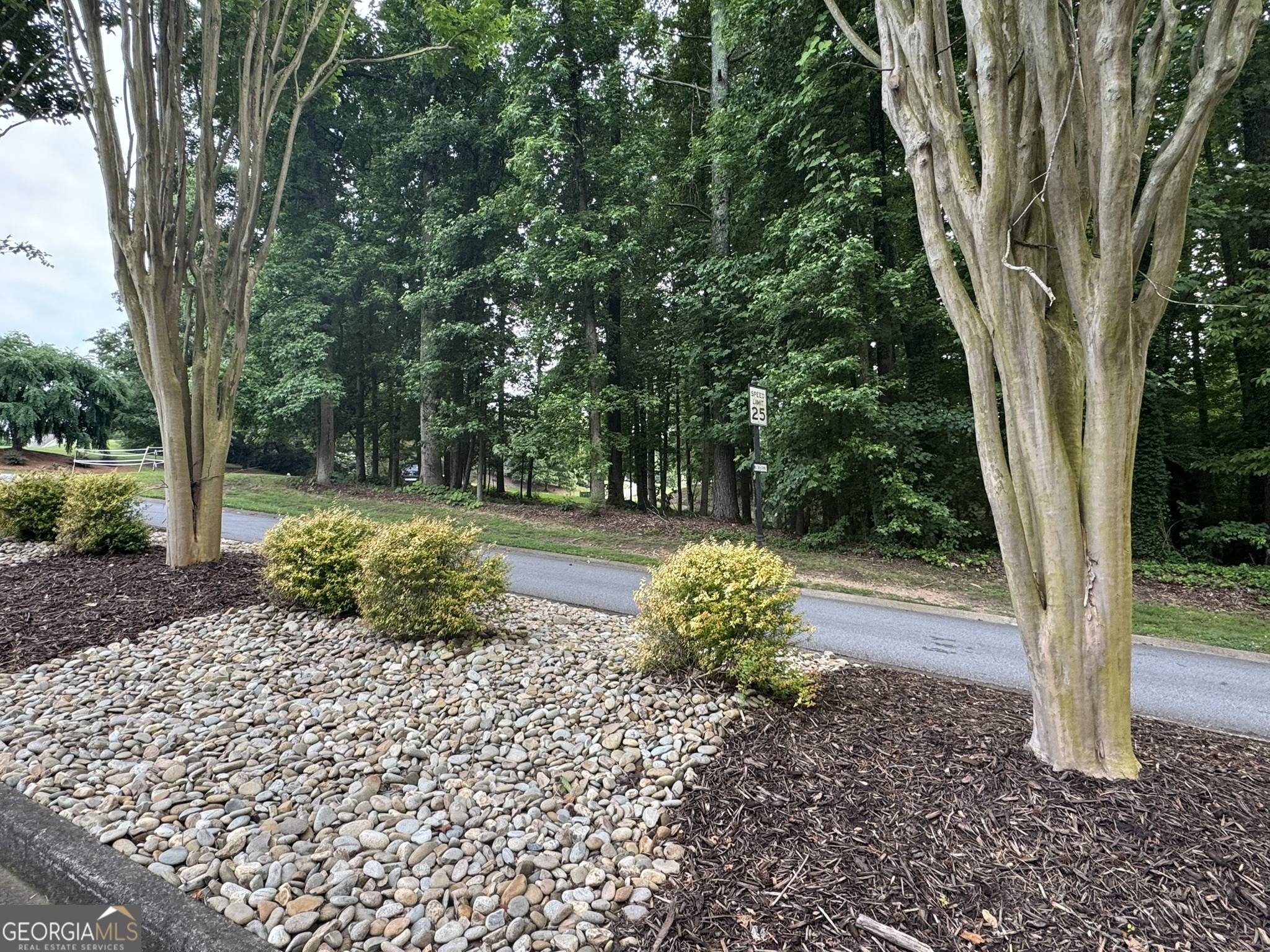 4708 Upper Berkshire Road, Unit LOT 39 Flowery Branch, GA 30542 - Photo 9 of 22 a view of a yard with plants