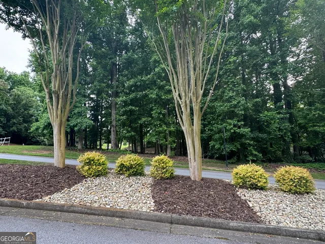 a view of a backyard with large trees