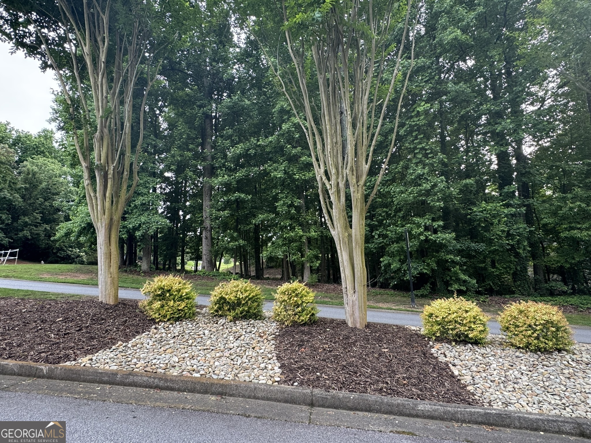 4708 Upper Berkshire Road, Unit LOT 39 Flowery Branch, GA 30542 - Photo 10 of 22 a view of a backyard with large trees