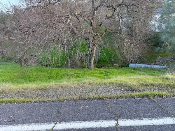 a view of a park with large trees
