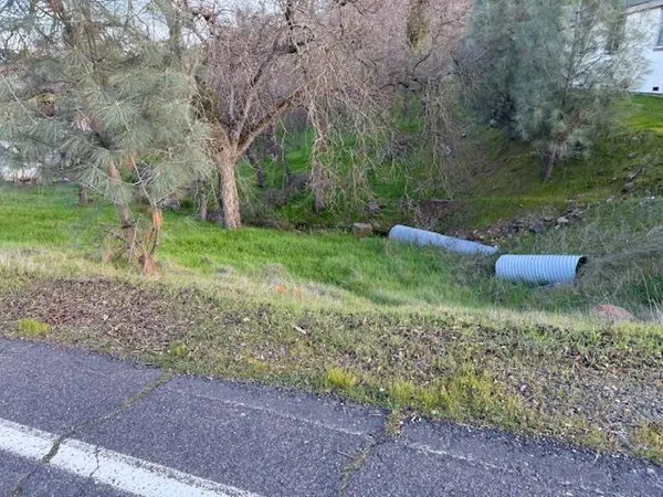a view of a backyard with large trees