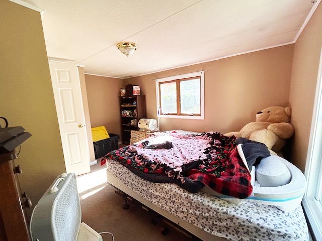 16 Cedar Street Exeter, NH 03833 - Photo 36 of 47