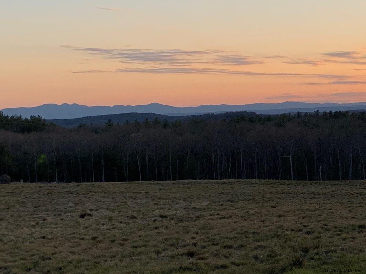 Saddleback Ridge Road East Nassau, NY 12062 - Photo 1 of 8 Photo 1