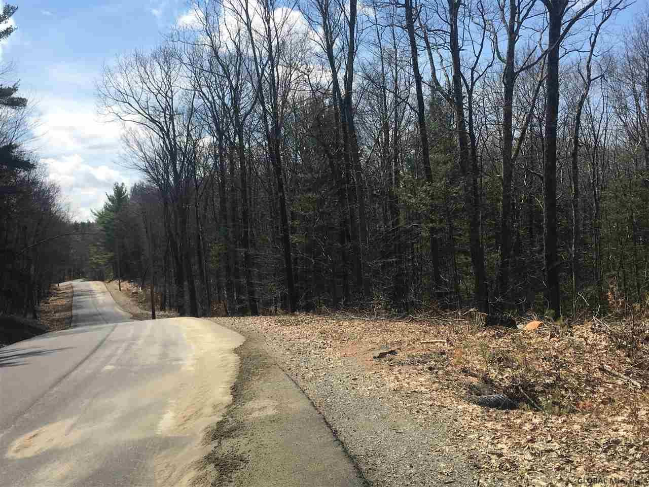 Saddleback Ridge Road East Nassau, NY 12062 - Photo 5 of 8 Photo 5