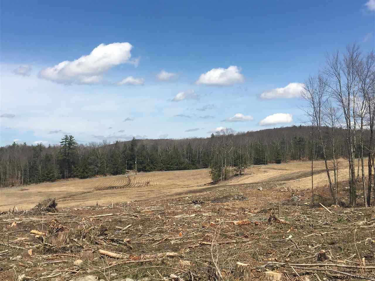 Saddleback Ridge Road East Nassau, NY 12062 - Photo 6 of 8 Photo 6