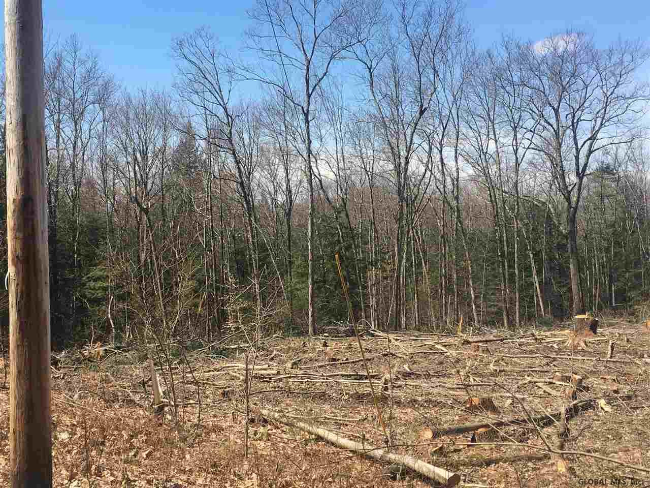 Saddleback Ridge Road East Nassau, NY 12062 - Photo 7 of 8 Photo 7