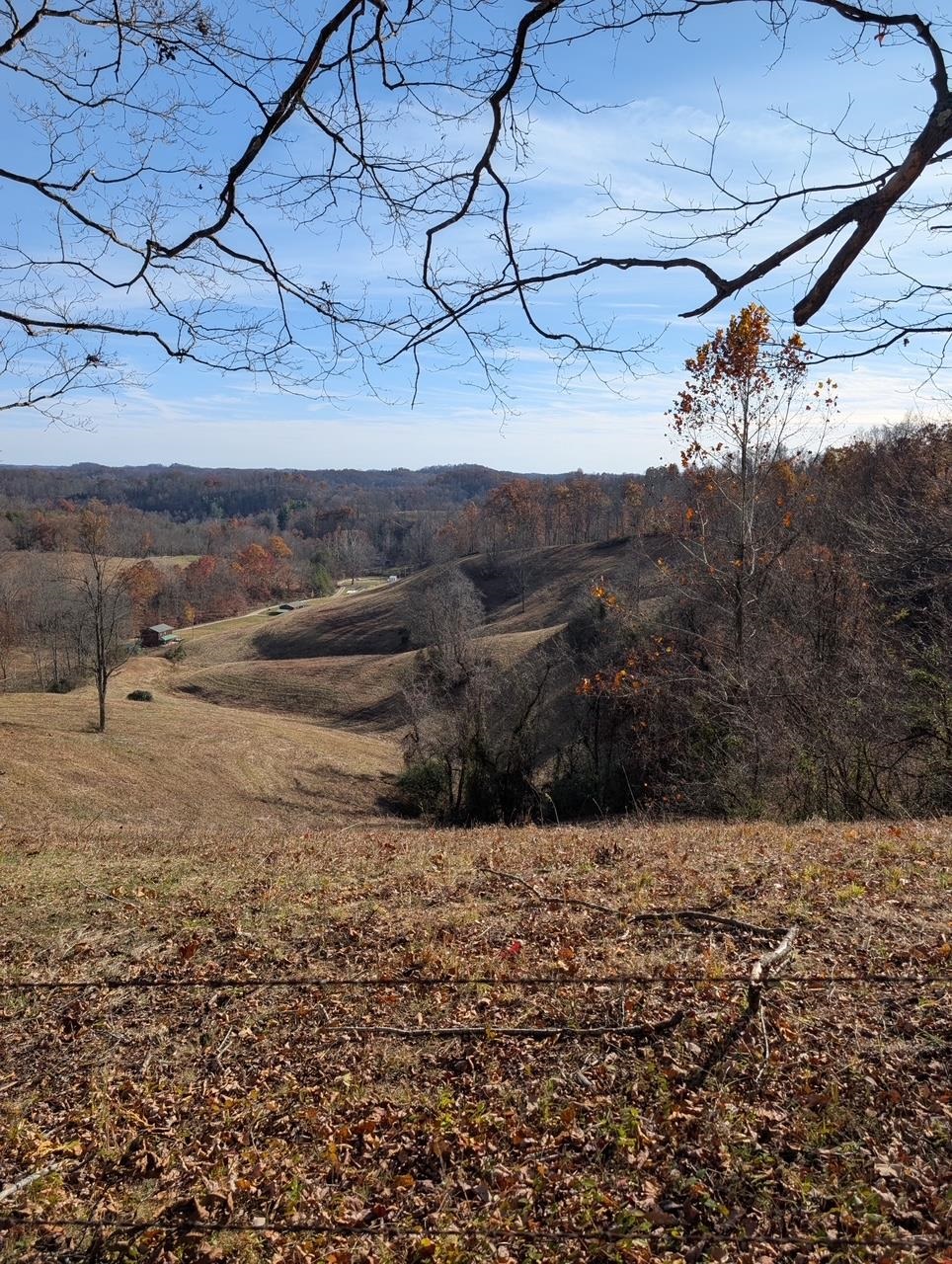 1195 Big Stone Road Sandy Hook, KY 41171 - Photo 8 of 12