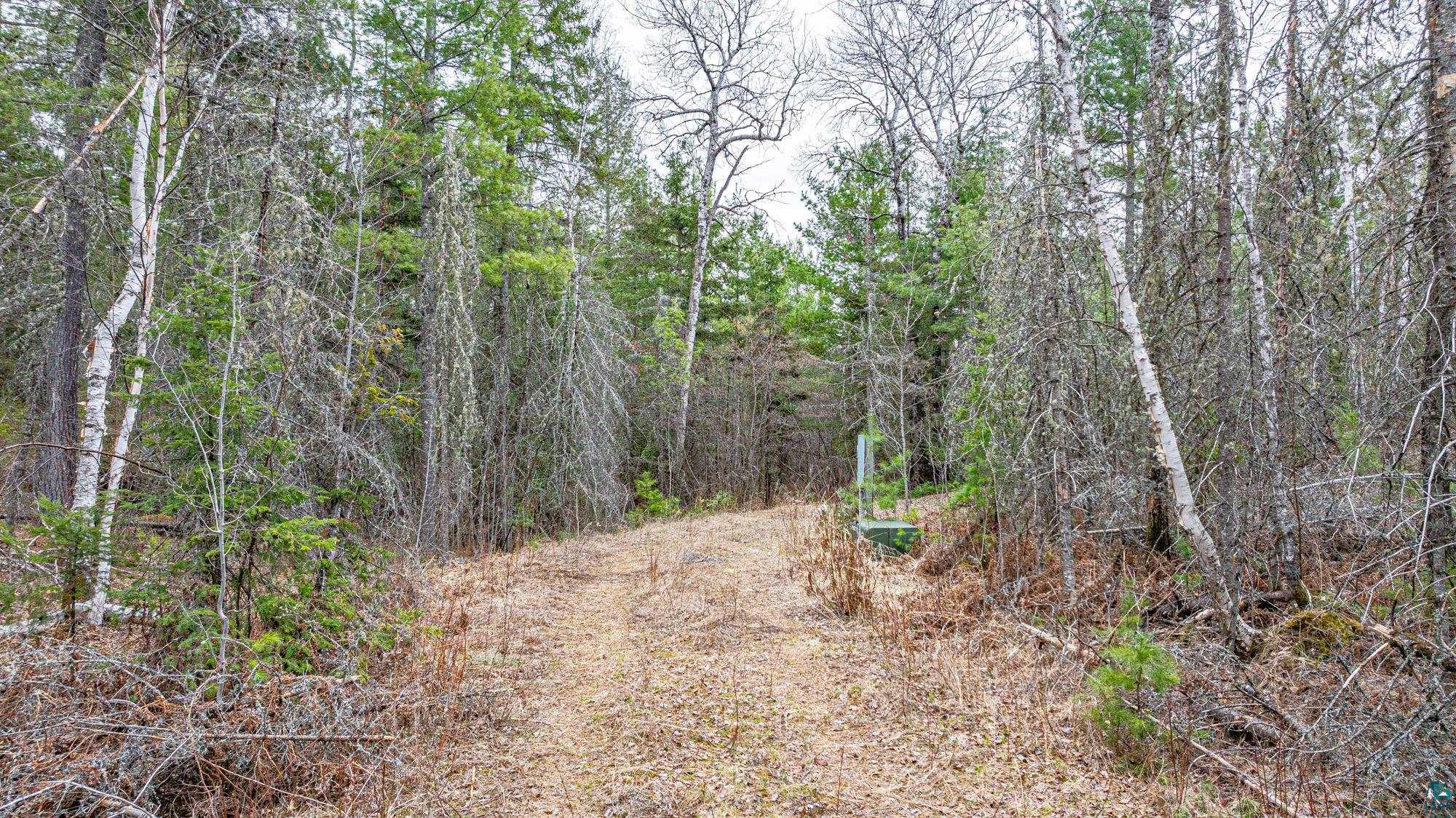 Tbd Lindbeck Road Ely, MN 55731 - Photo 9 of 44