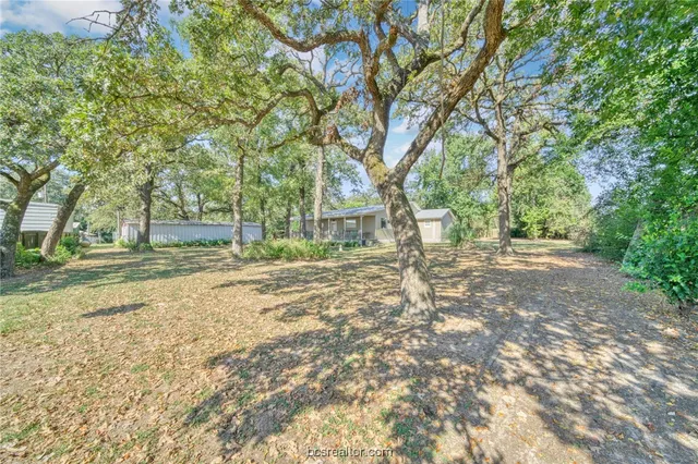 a view of yard with tree