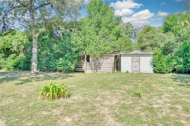 a view of a yard from a window