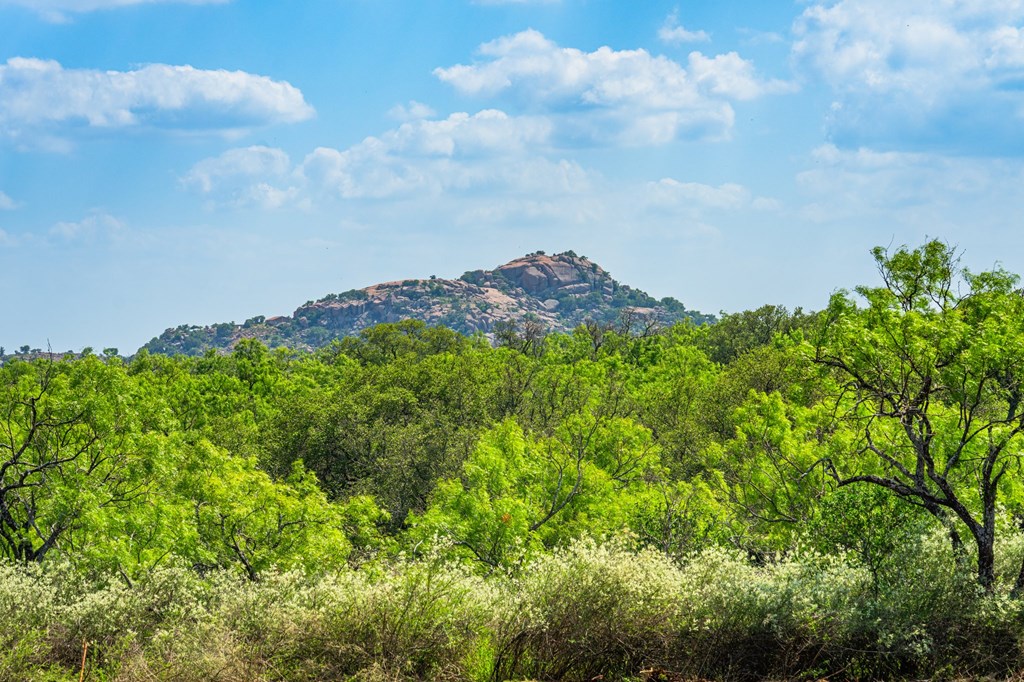7602 County Road 113 Llano, TX 78643 - Photo 2 of 69