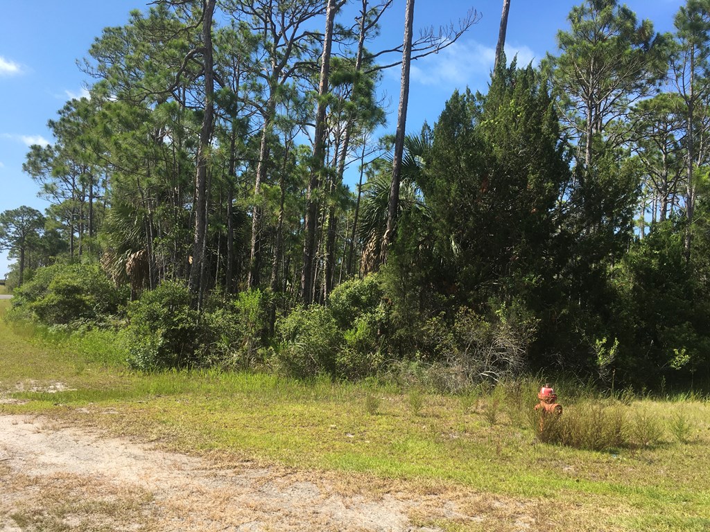 1767 Kingfisher Road Eastpoint, FL 32328 - Photo 2 of 4