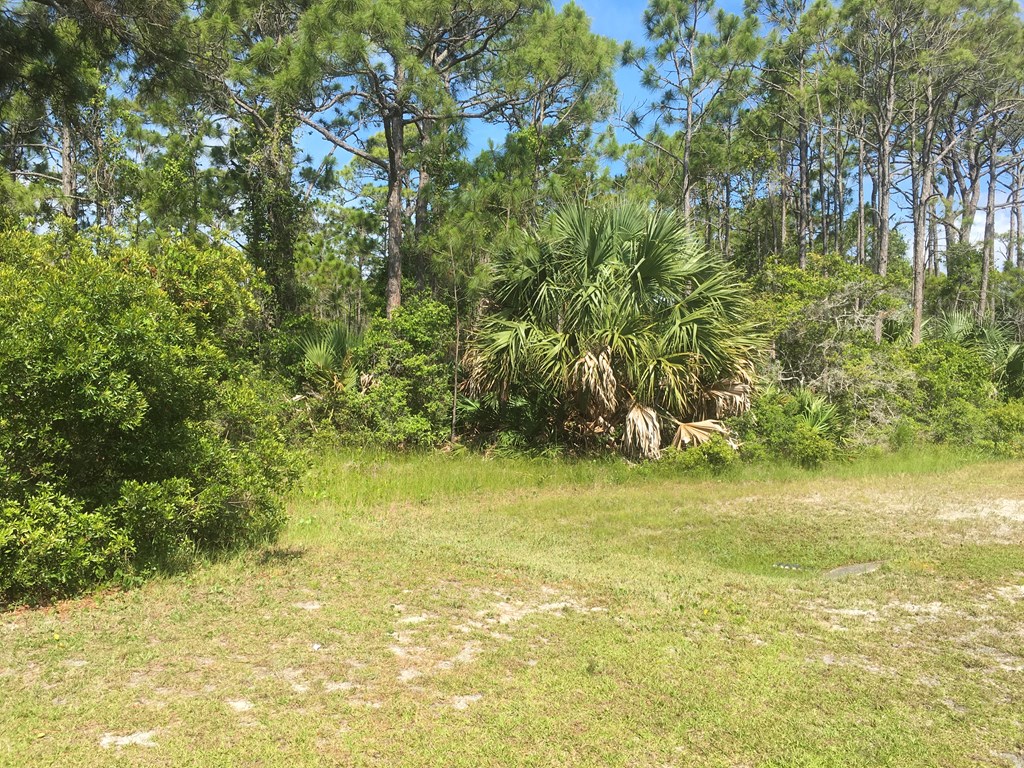 1767 Kingfisher Road Eastpoint, FL 32328 - Photo 3 of 4