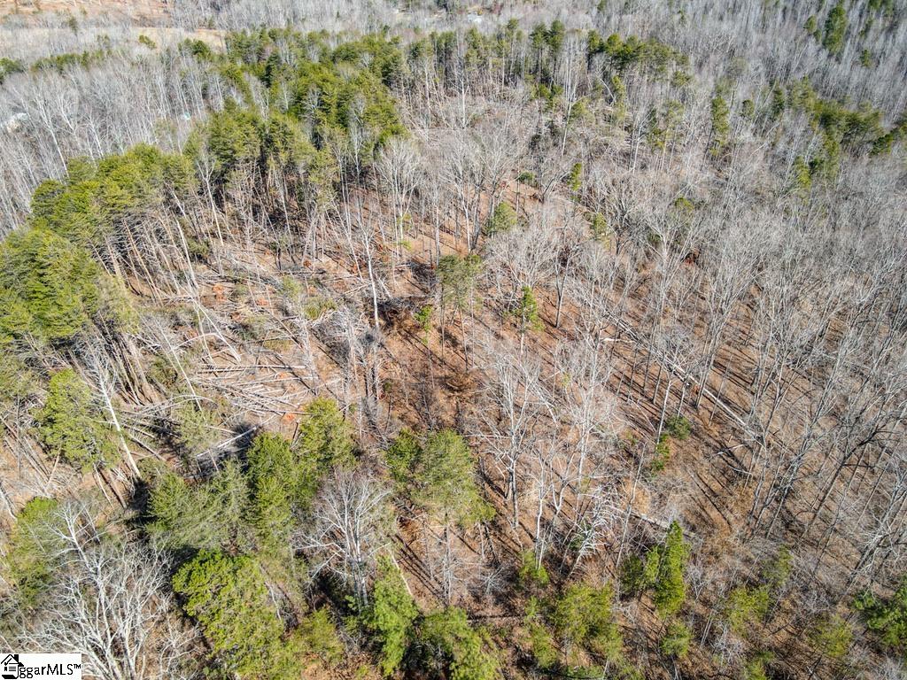 0 Woodside Lane Campobello, SC 29322 - Photo 11 of 28