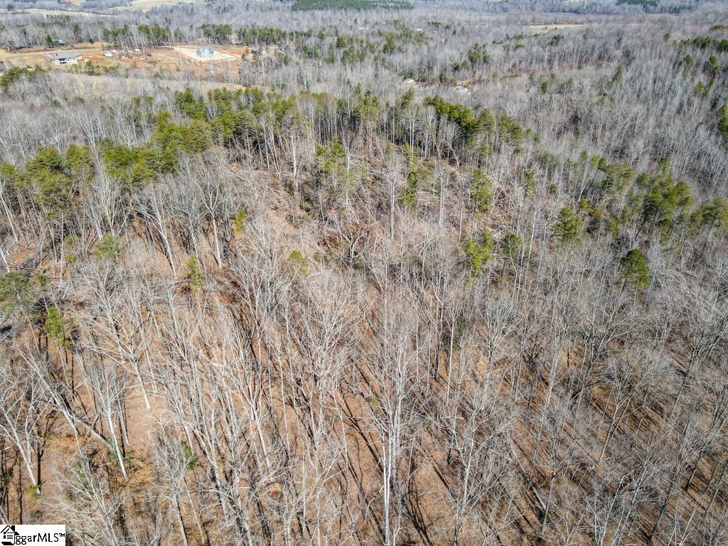 0 Woodside Lane Campobello, SC 29322 - Photo 12 of 28