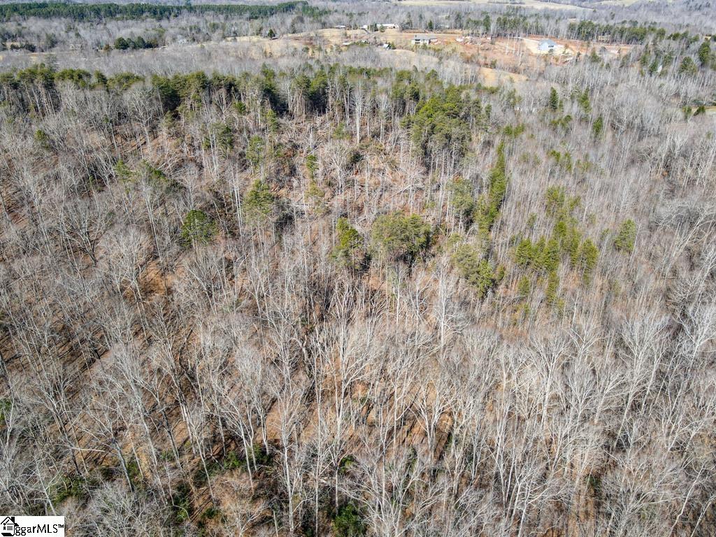 0 Woodside Lane Campobello, SC 29322 - Photo 15 of 28