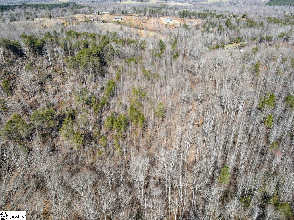 0 Woodside Lane Campobello, SC 29322 - Photo 16 of 28