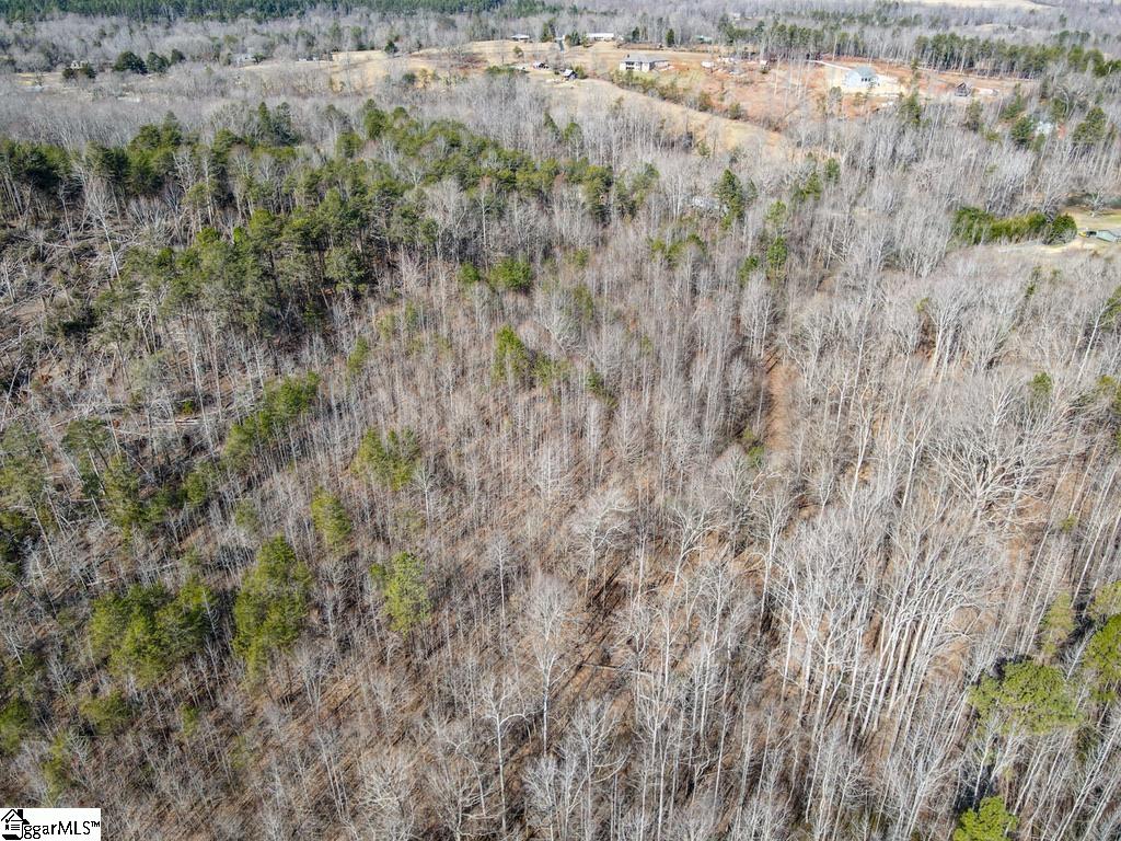 0 Woodside Lane Campobello, SC 29322 - Photo 17 of 28