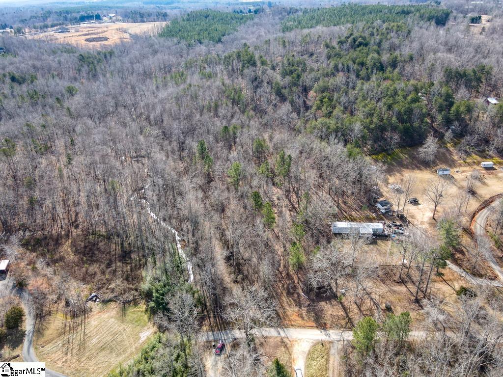 0 Woodside Lane Campobello, SC 29322 - Photo 3 of 28