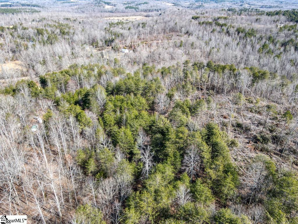 0 Woodside Lane Campobello, SC 29322 - Photo 8 of 28