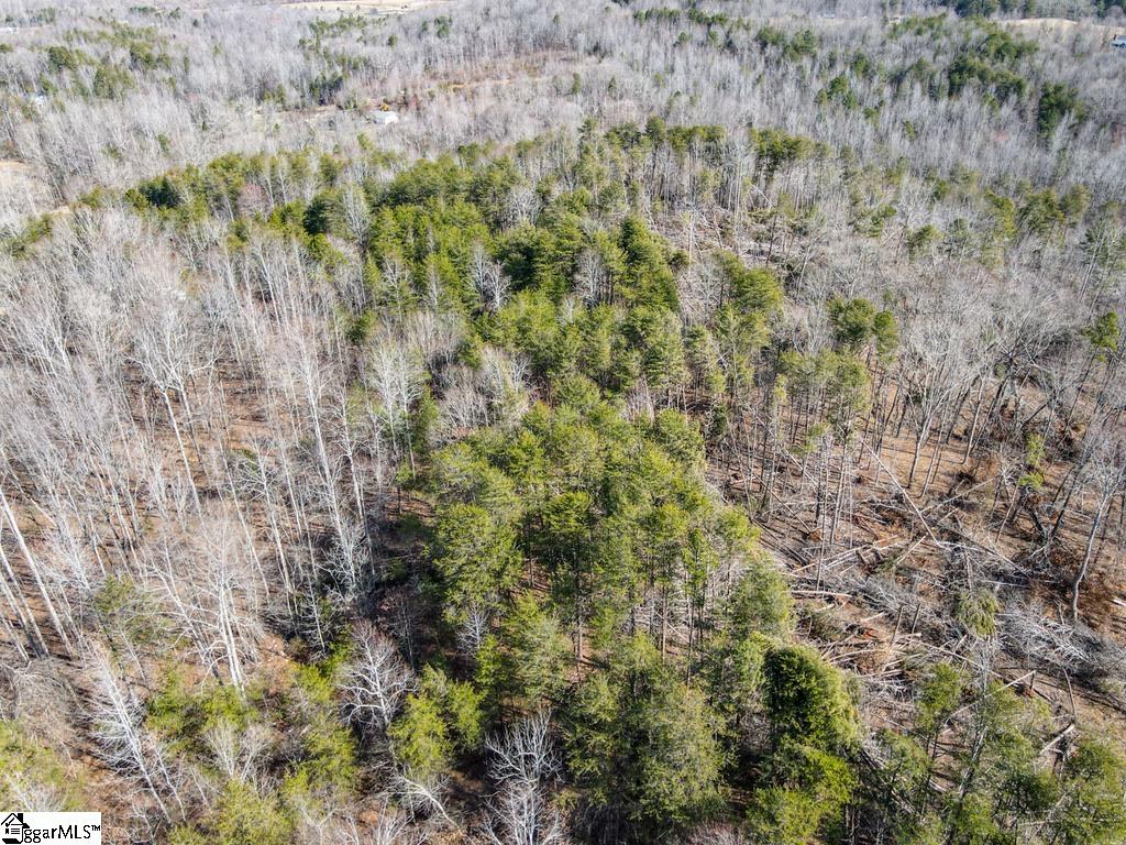 0 Woodside Lane Campobello, SC 29322 - Photo 9 of 28