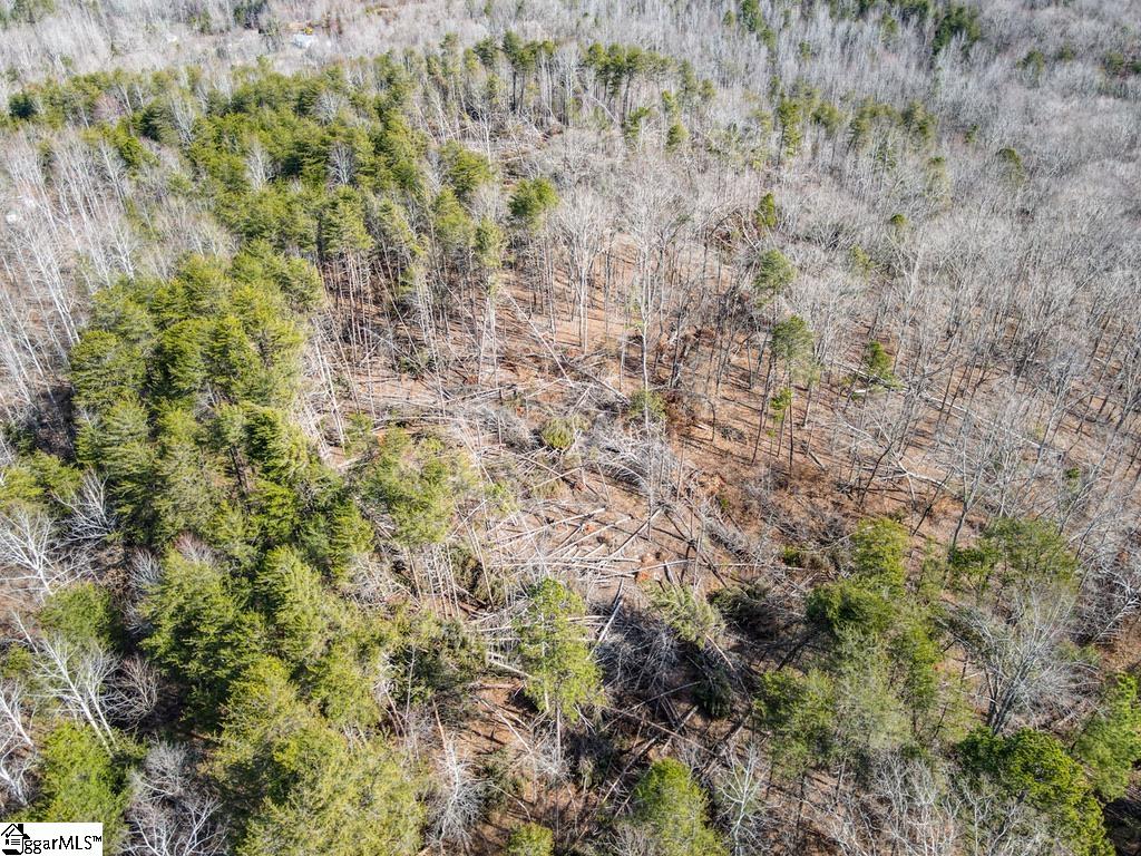 0 Woodside Lane Campobello, SC 29322 - Photo 10 of 28