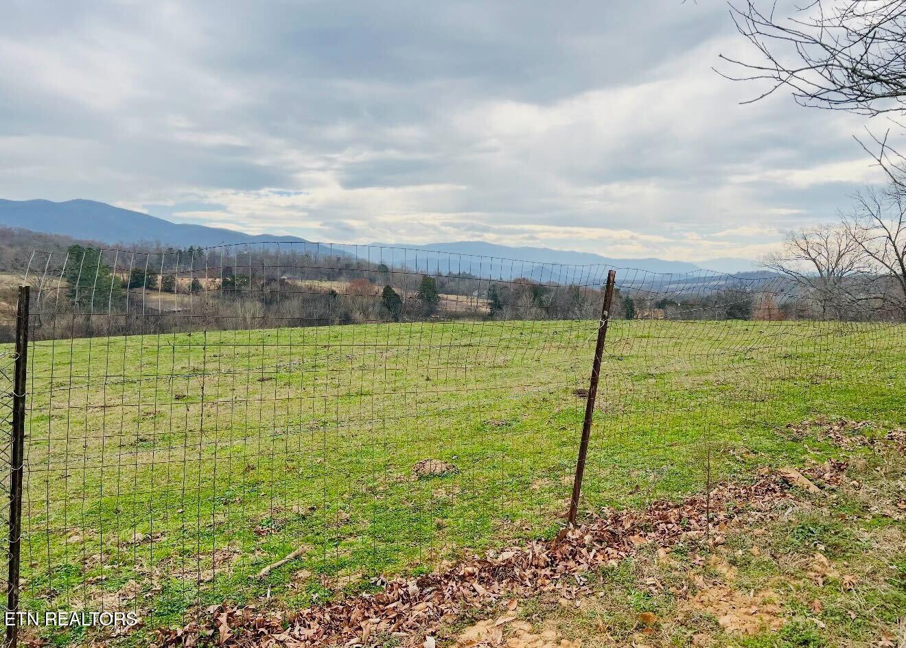 891 Tolley Hollow Road Newport, TN 37821 - Photo 19 of 20 IMG_7147 (1)