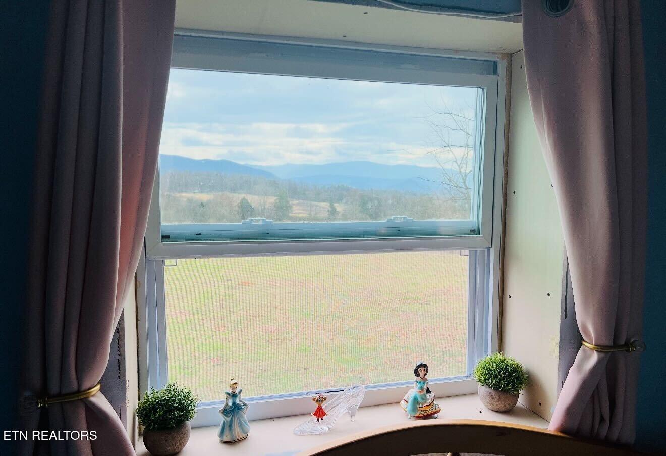 891 Tolley Hollow Road Newport, TN 37821 - Photo 9 of 20 IMG_7158