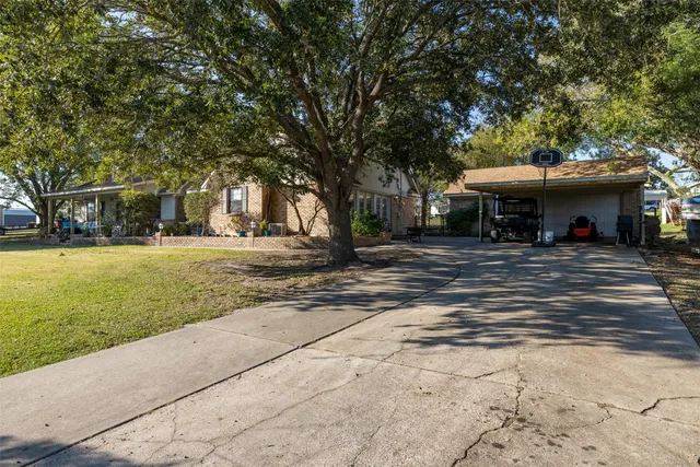 a view of a park with tree s