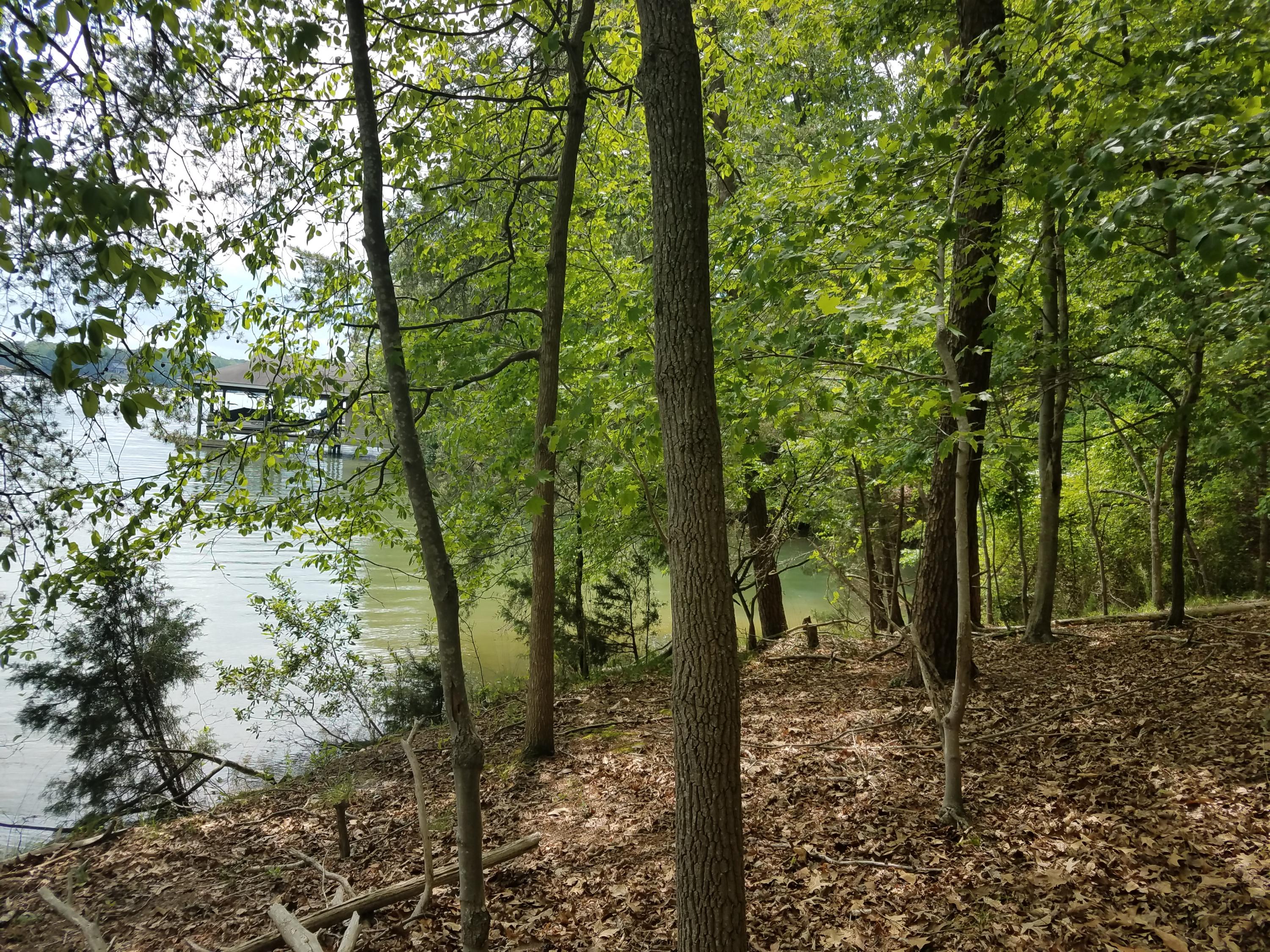 Lot 28 Antler Ridge Road Moneta, VA 24121 - Photo 12 of 28 20190507_145538