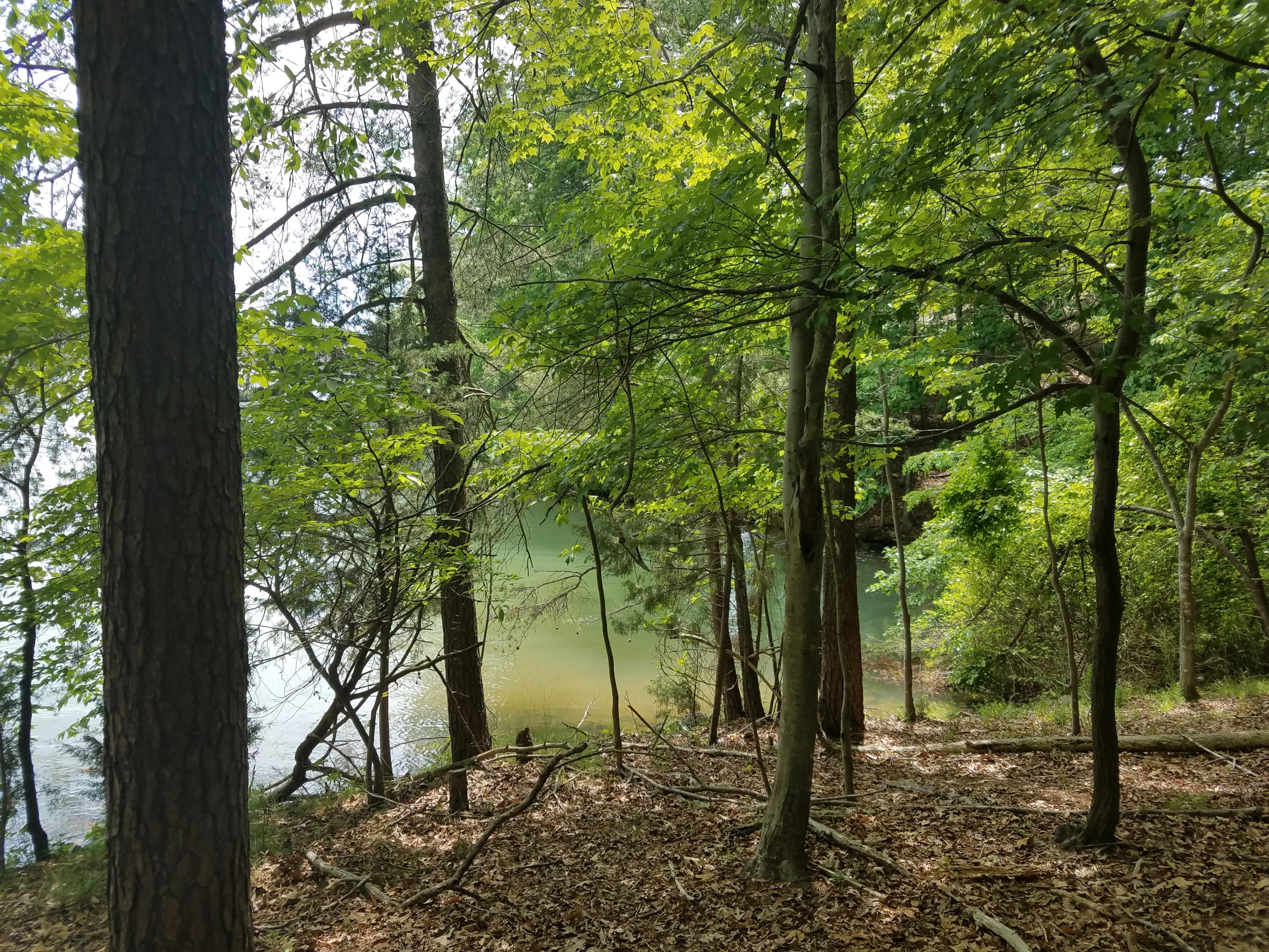 Lot 28 Antler Ridge Road Moneta, VA 24121 - Photo 14 of 28 20190507_145606