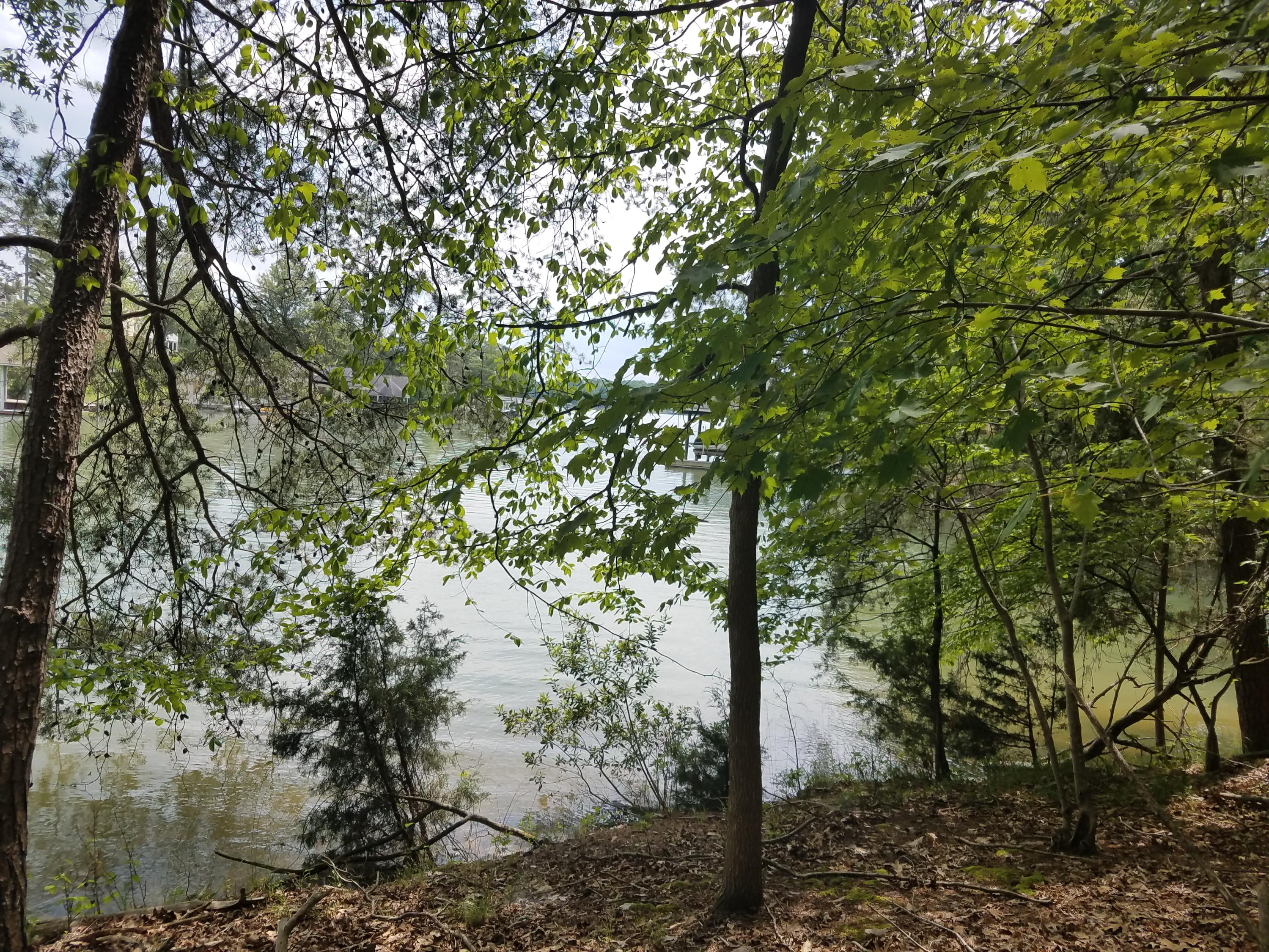 Lot 28 Antler Ridge Road Moneta, VA 24121 - Photo 15 of 28 20190507_145550