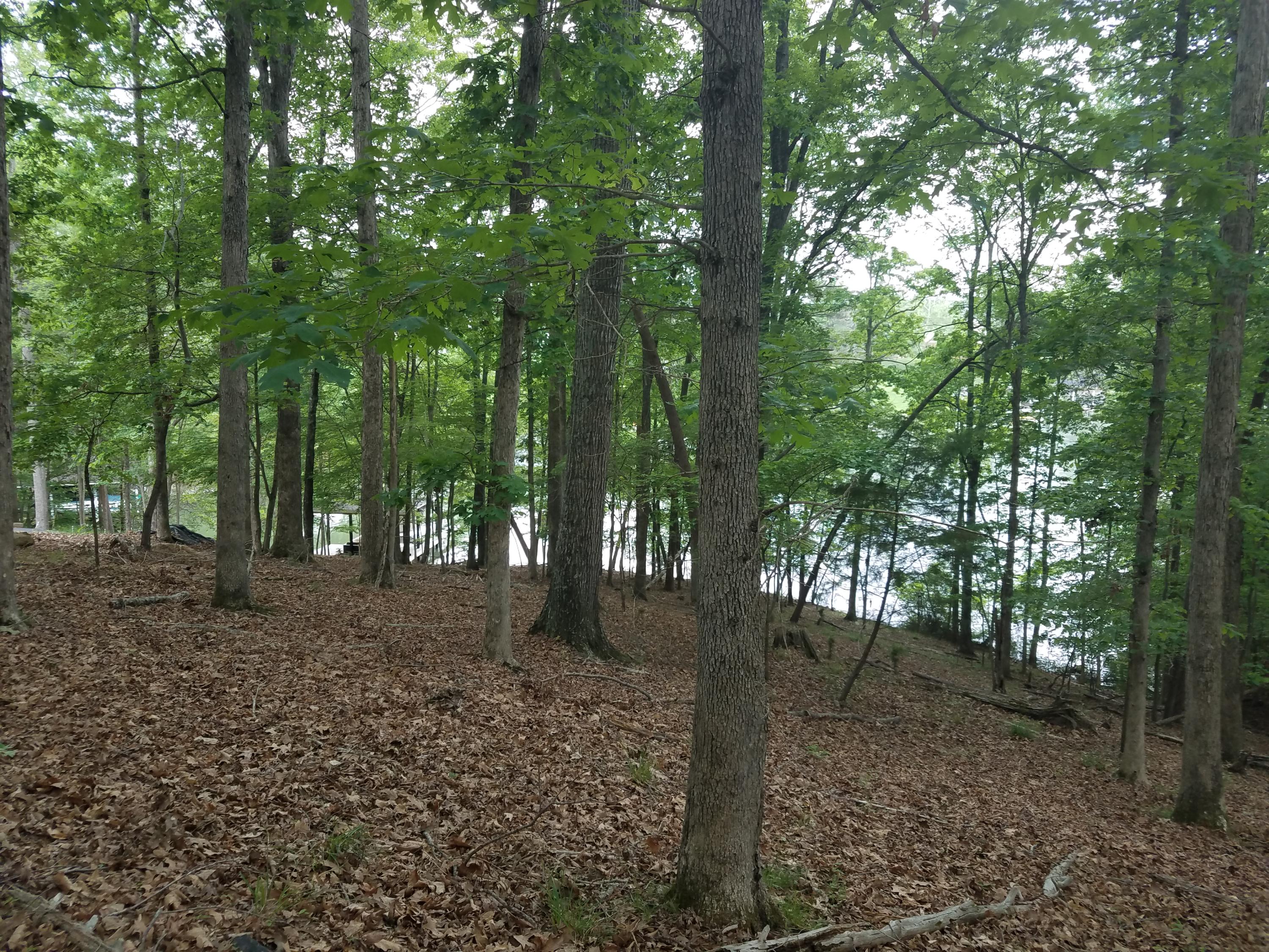 Lot 28 Antler Ridge Road Moneta, VA 24121 - Photo 16 of 28 20190507_144958