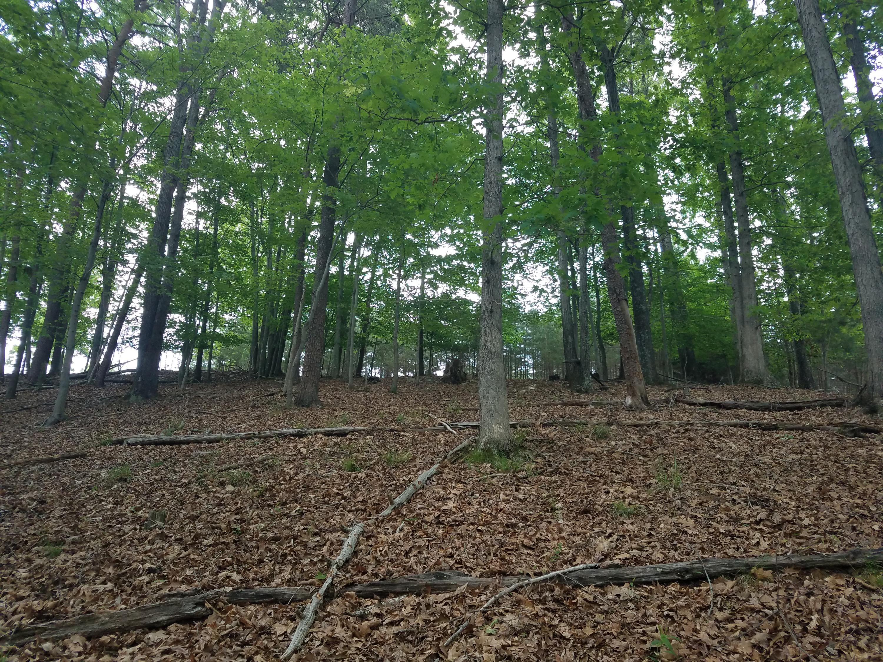 Lot 28 Antler Ridge Road Moneta, VA 24121 - Photo 17 of 28 20190507_145053