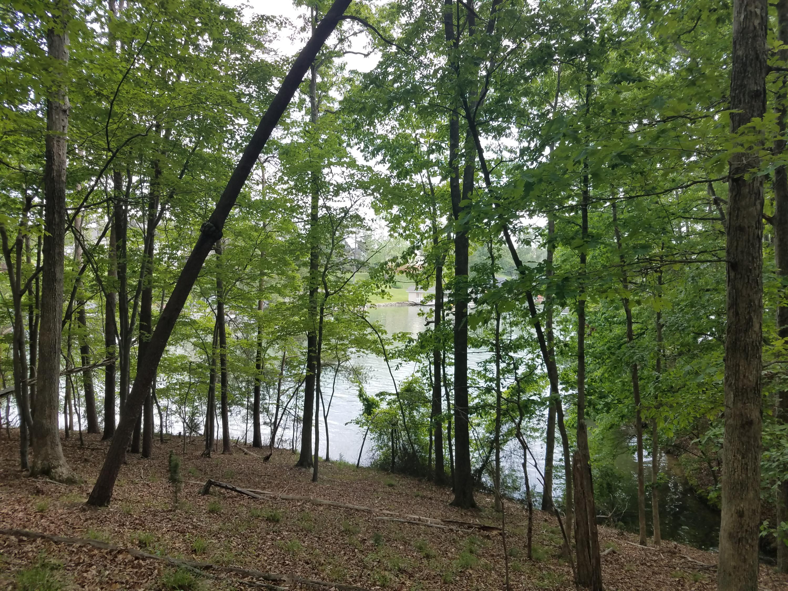 Lot 28 Antler Ridge Road Moneta, VA 24121 - Photo 18 of 28 20190507_145156