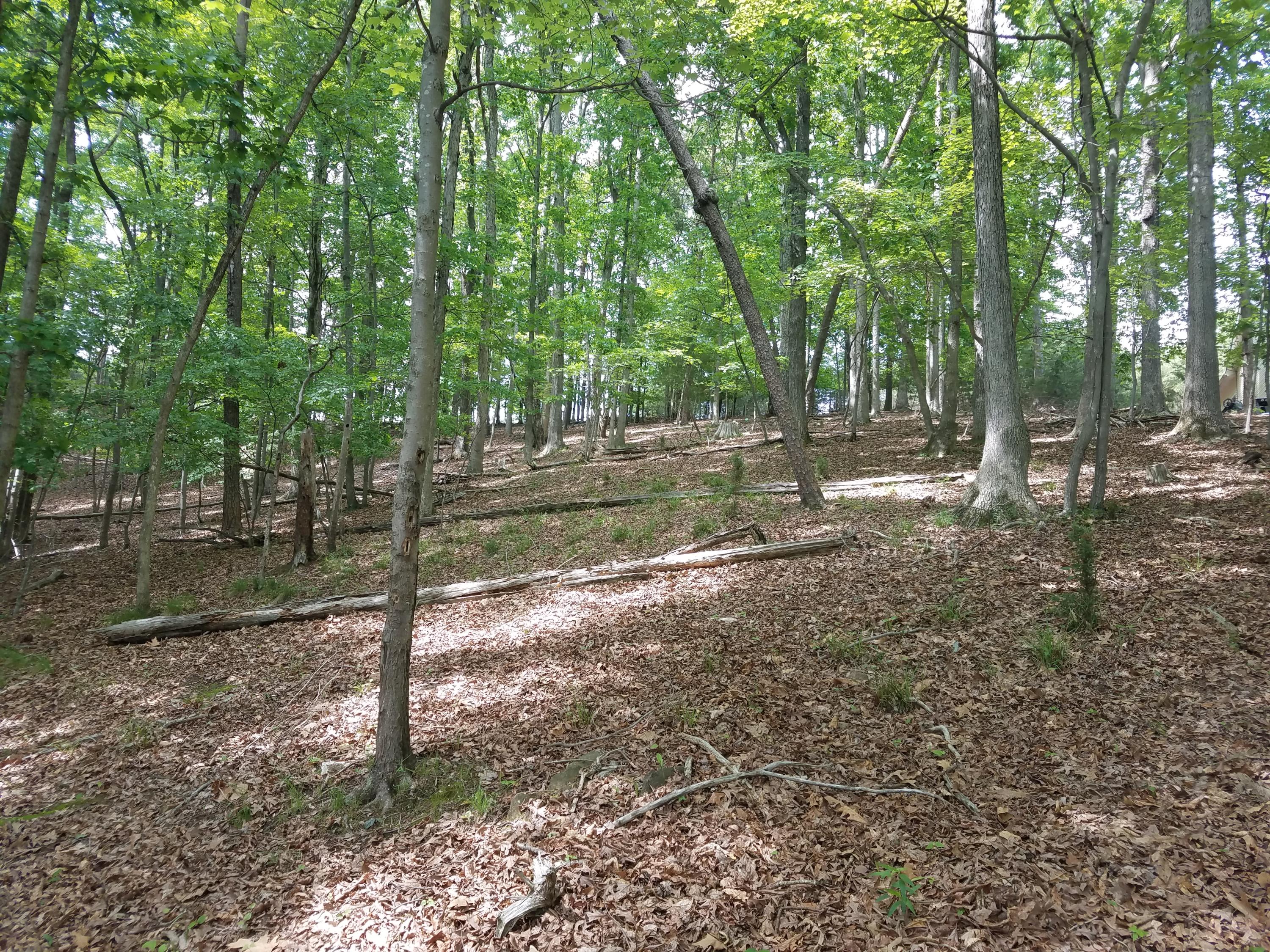 Lot 28 Antler Ridge Road Moneta, VA 24121 - Photo 19 of 28 20190507_145323