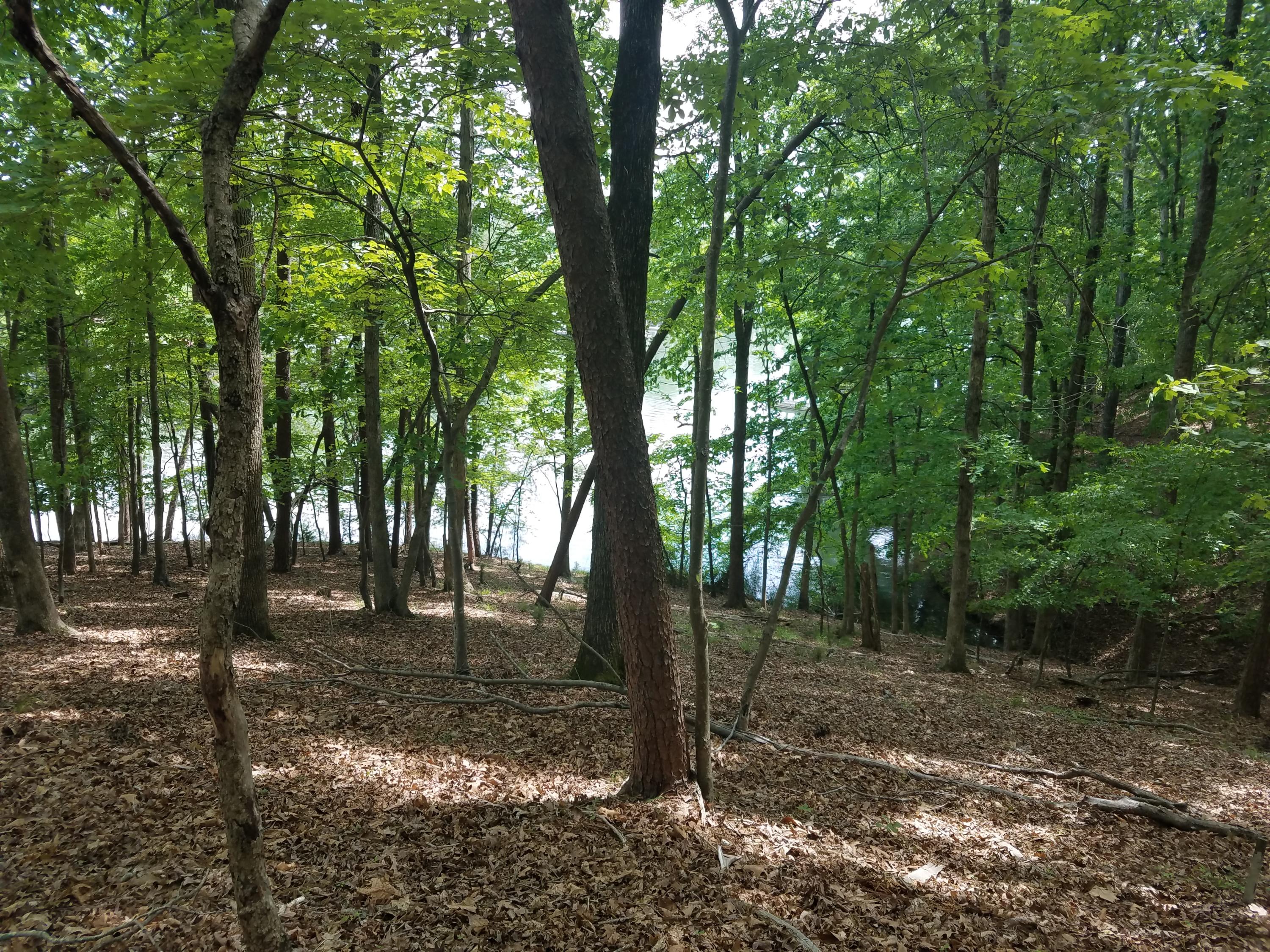 Lot 28 Antler Ridge Road Moneta, VA 24121 - Photo 20 of 28 20190507_150127