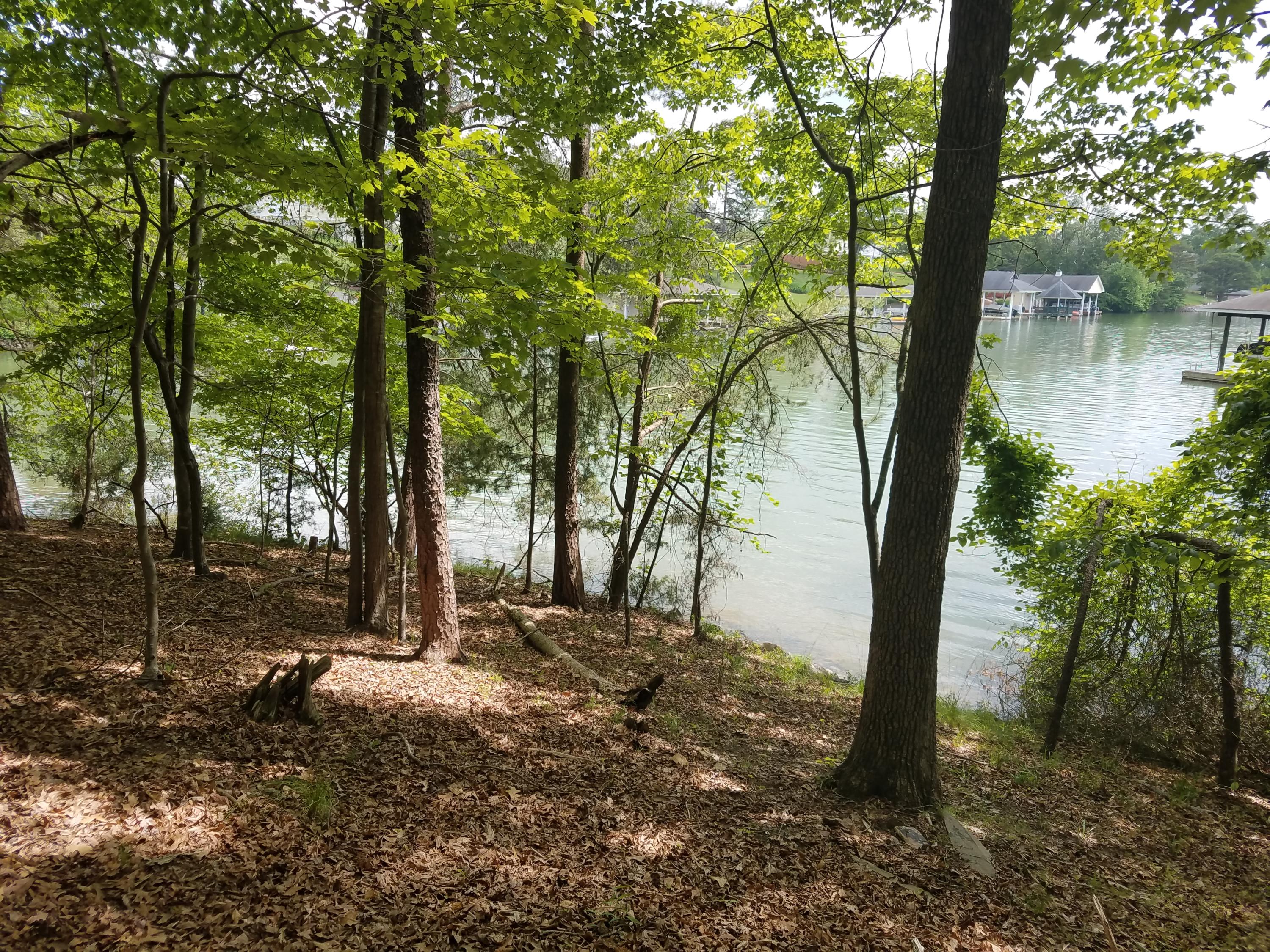 Lot 28 Antler Ridge Road Moneta, VA 24121 - Photo 3 of 28 20190507_145257